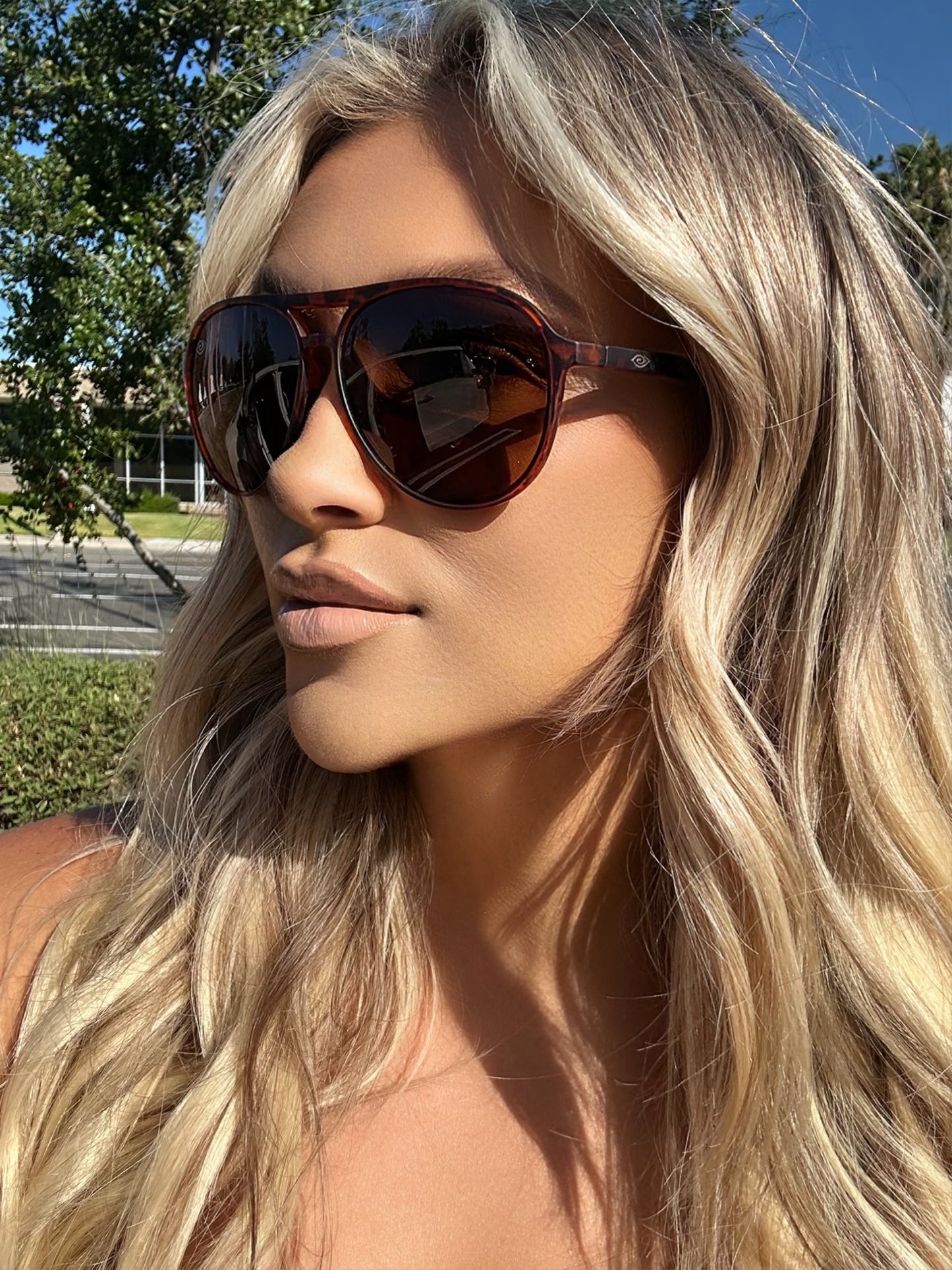 🛩️ Mavericks Goose