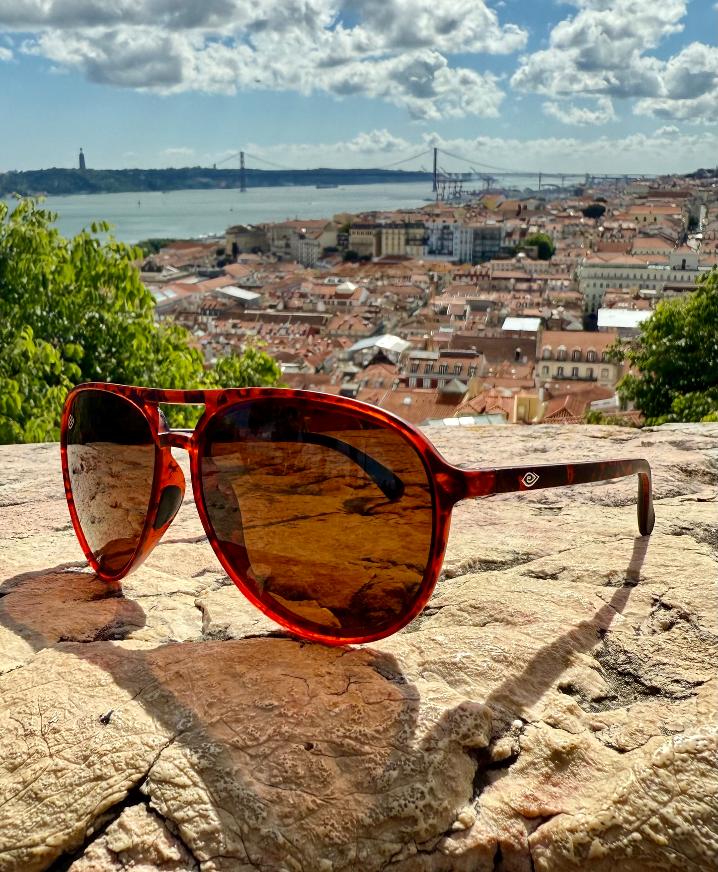 🛩️ Mavericks Goose