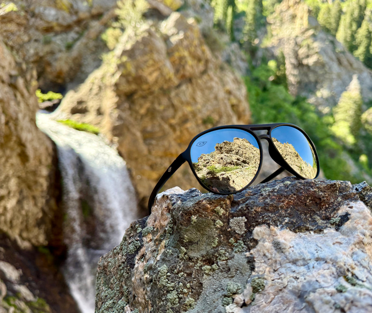 ✈️ Mavericks Hollywood