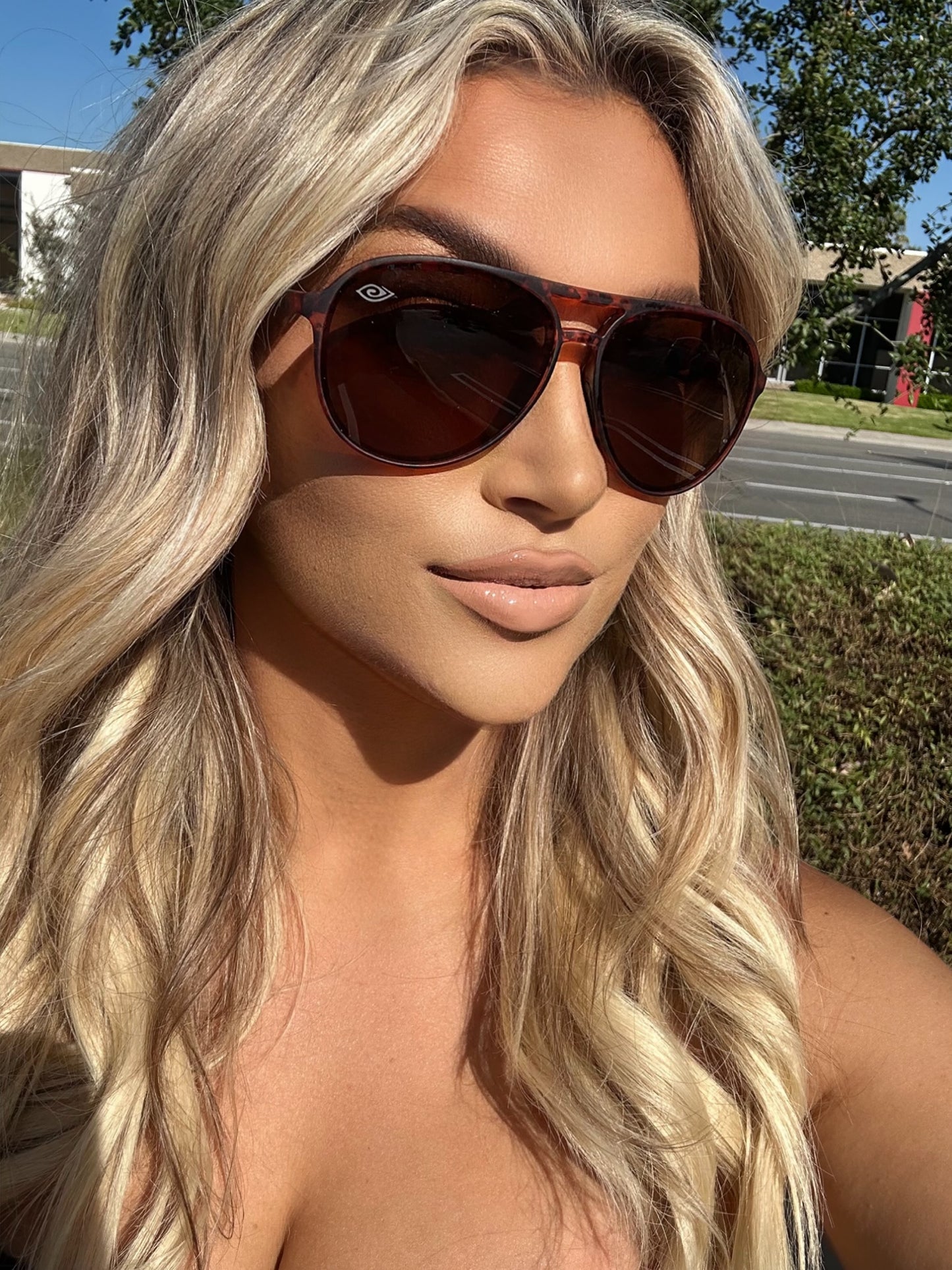 🛩️ Mavericks Goose