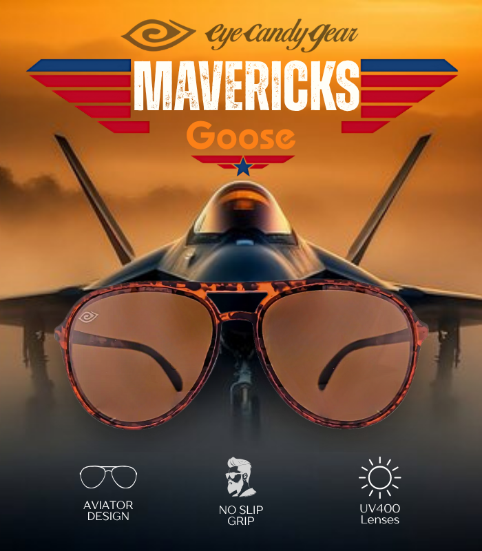 🛩️ Mavericks Goose
