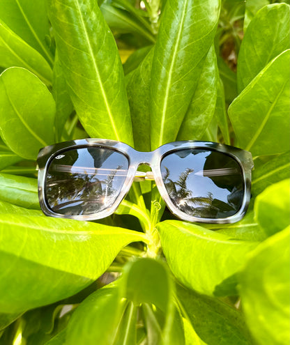 Kona Krush