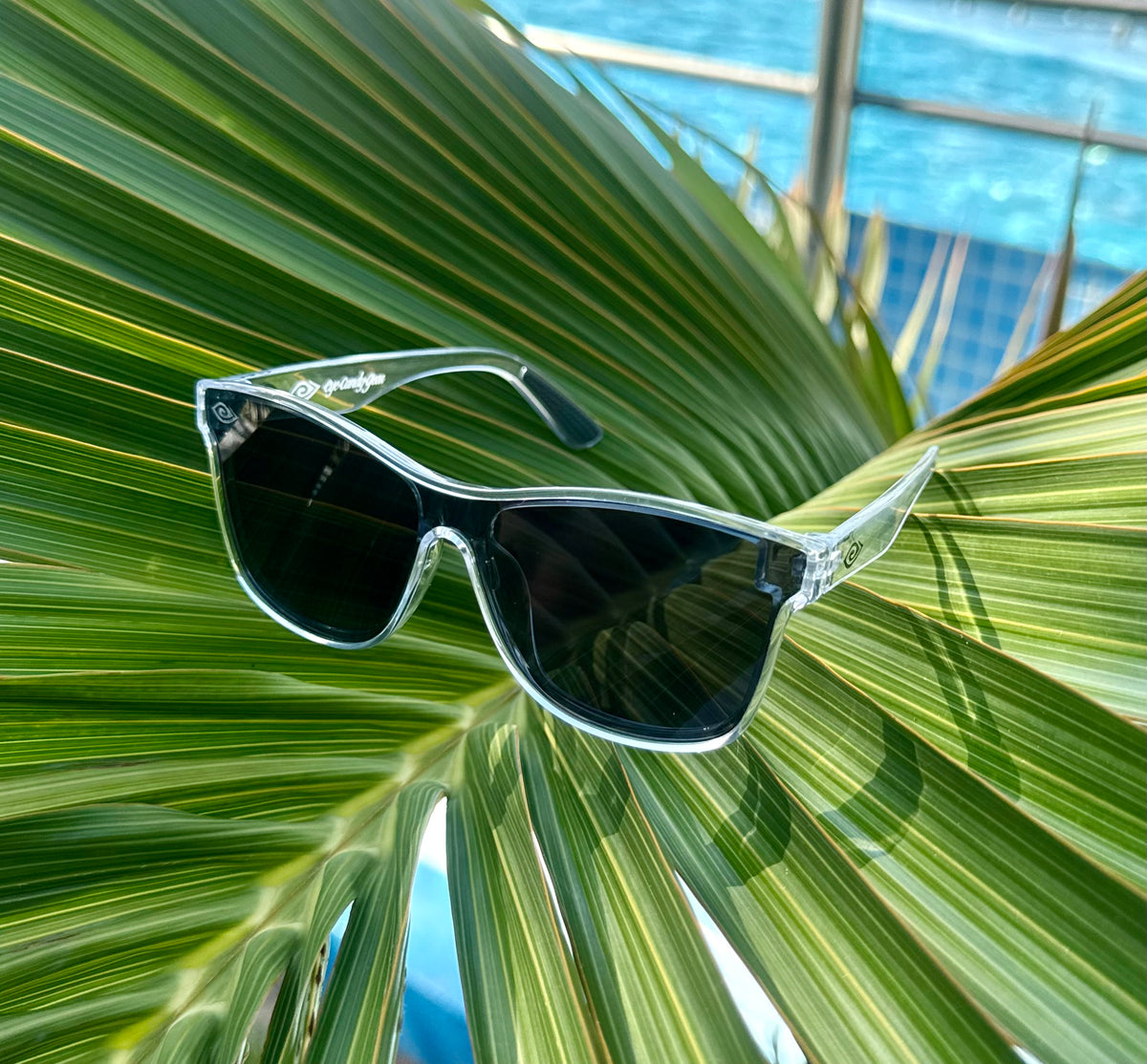 Sunglasses on a palm leaf with a blue sky background