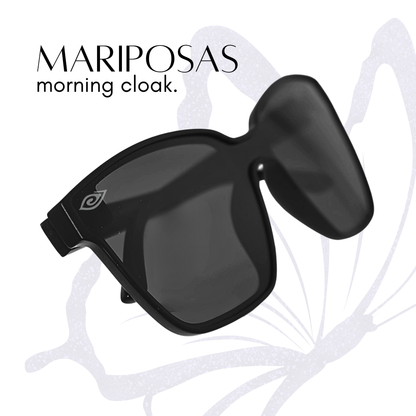 Mariposas Mourning Cloak