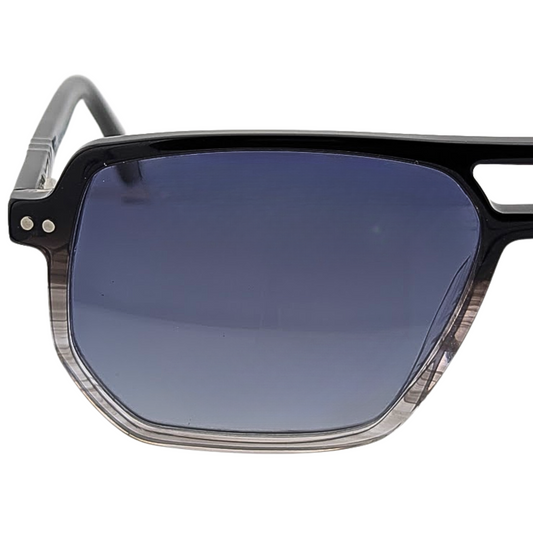 SWISS VOYAGERS